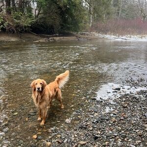 Meet your Posher, Jen